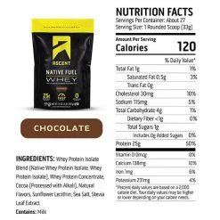 Ascent Protein Whey Protein Powder - Chocolate