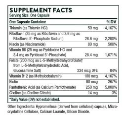 Vitamins & Supplements Thorne Stress B-Complex 8 Vitamins & Supplements Thorne Stress B-Complex