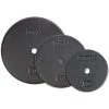 York Barbell 1" Standard Flat Pro Cast Iron Plate