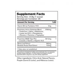 Vitamins & Supplements BASE Performance Amino