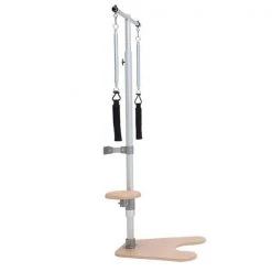 BASI Systems Ped And Pull