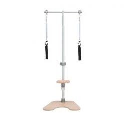 BASI Systems Ped And Pull