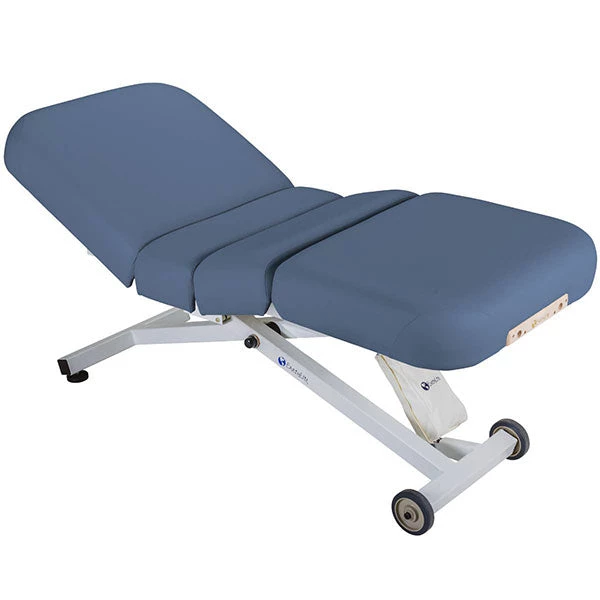 Therapy Methods Earthlite Ellora Electric Lift Salon Massage Table Package 3 Therapy Methods Earthlite Ellora Electric Lift Salon Massage Table Package