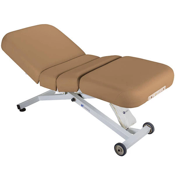 Therapy Methods Earthlite Ellora Electric Lift Salon Massage Table Package 4 Therapy Methods Earthlite Ellora Electric Lift Salon Massage Table Package