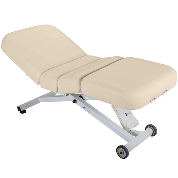 Therapy Methods Earthlite Ellora Electric Lift Salon Massage Table Package 5 Therapy Methods Earthlite Ellora Electric Lift Salon Massage Table Package