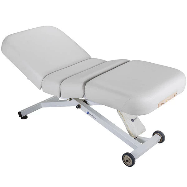 Therapy Methods Earthlite Ellora Electric Lift Salon Massage Table Package 2 Therapy Methods Earthlite Ellora Electric Lift Salon Massage Table Package