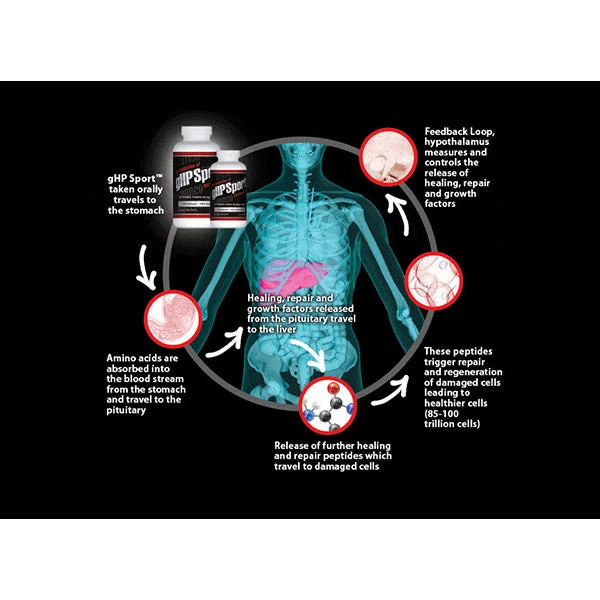 SomaLife GHP Sport Vitamins & Supplements 3 SomaLife GHP Sport Vitamins & Supplements