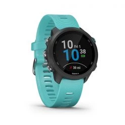 Garmin Forerunner 245 Running Watch