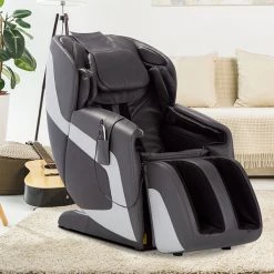 Massage Therapy Human Touch Sana Massage Chair