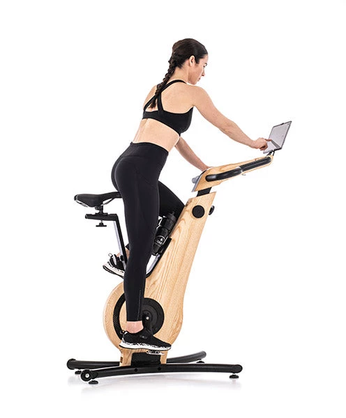 Cardio Machines NOHrD Luxury Indoor Exercise Bike 9 Cardio Machines NOHrD Luxury Indoor Exercise Bike