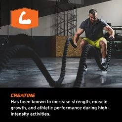 Proven 4 Pre-Workout Formula