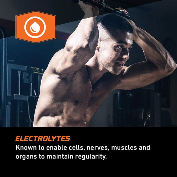 Proven 4 Recovery Formula 4 Proven 4 Recovery Formula