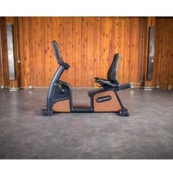 SportsArt C576R Status Eco-Natural Recumbent Bike